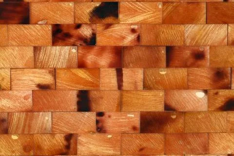 Square shell pattern Stock Photos