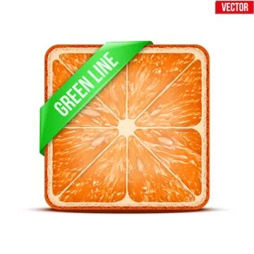Square slice of grapefruit green line. vector illustration. Stock Illustration
