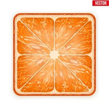 Square slice of grapefruit. isolated on white background. vector illustration Illustrazione stock