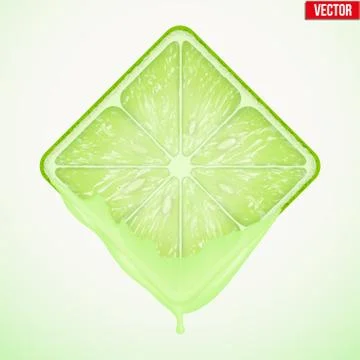 Square slice of lime with fresh juice. vector illustration. 库存插图