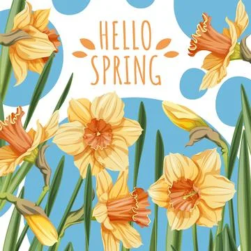 Square Spring Card with Yellow Daffodils and Fresh Greenery. Floral Design for Stock Illustration