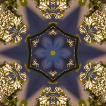 Square Star shape made form the negative space of a photos of white flowers in Stock Photos