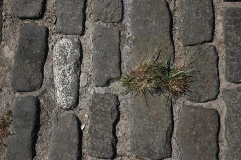 Square Stone Pavement Texture Close Up Stock Photos