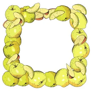 Square template with apples, apple slices. Hand drawn food illustration. Illustrazione stock