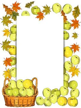 Square template with apples, apple slices. Hand drawn food illustration. Stock Illustration