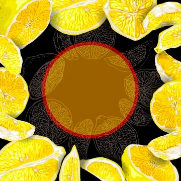 Square template of banner with a circle for text. There are citrus slices and Stock Illustration