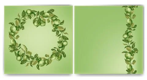 Square template with circle frame and vertical line with limes and lemon tree Stock Illustration