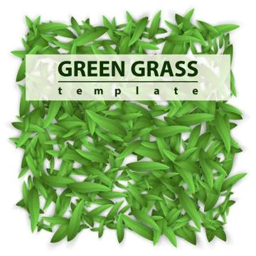 Square template grass. Green leaf. Stock Illustration