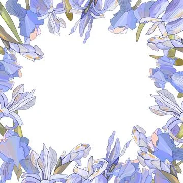 Square template with irises isolated on white. Stock Illustration