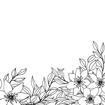 Square template with plant composition. vector hand drawn flower, leaves, branch Stock Illustration