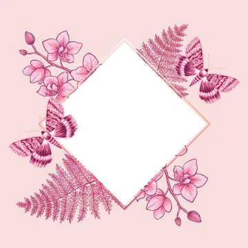 Square template for text with flower orchid, fern, butterflies. Frame or border Stock Illustration