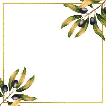 Square template for text with olive branches and leaves. Frame or border with Stock Illustration