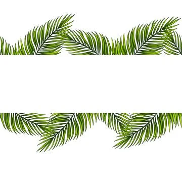 Square template for text with tropical palm leaves. Frame or border with jungle Stock Illustration
