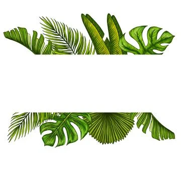 Square template for text with tropical palm leaves. Frame or border with jungle Stock Illustration