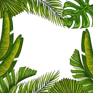 Square template for text with tropical palm leaves. Frame or border with jungle Stock Illustration
