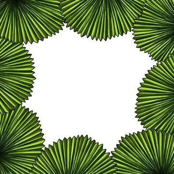 Square template for text with tropical palm leaves. Frame or border with jungle Stock Illustration