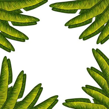 Square template for text with tropical palm leaves. Frame or border with jungle Stock Illustration