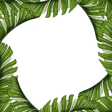 Square template for text with tropical palm leaves. Frame or border with jungle Stock Illustration