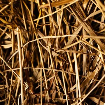 The square texture of damaged thatch was shot in macro style Stock Photos