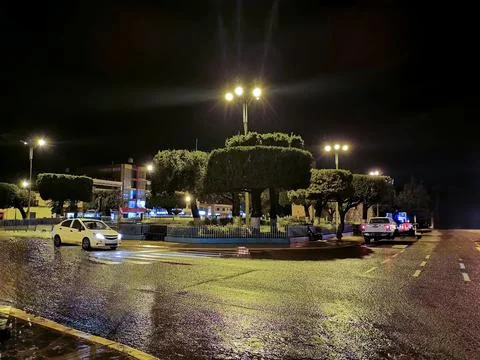Square with trees after the rain with clear sky Stock Photos