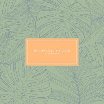 Square tropical green background with palm leaves and monstera leaves. Stock Illustration