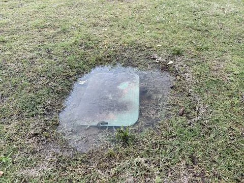 Square Utility Access Cover Set in Grass Stock Photos