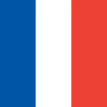 Square vector flag of France 스톡 일러스트