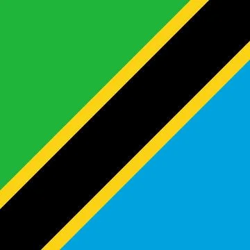 Square vector flag of Tanzania Stock-Illustration