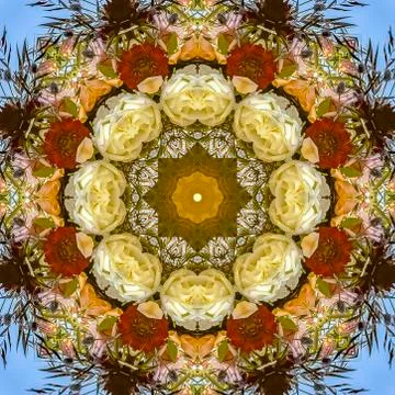 Square Vivid flowers in a patterned display of flowers in circular arrangement 写真素材