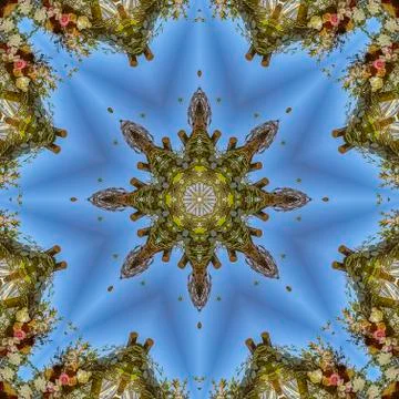 Square Vivid shapes with angular displays of flowers in circular arrangement at Stock Photos