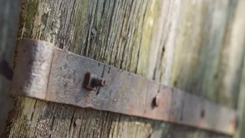 Square washer closeup on old rusty metal hinge's wood door Vídeo Stock 130887058