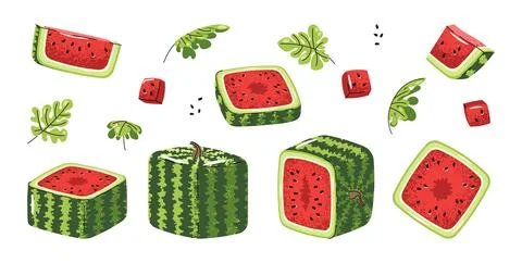 Square Watermelon Icon Set Flat Illustrations of Whole Fruit and Slices on White Stock Illustration