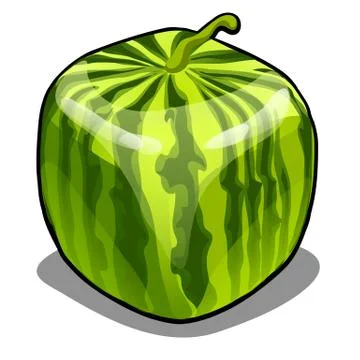 Square watermelon isolated on white background. Modern technologies in Stock Illustration