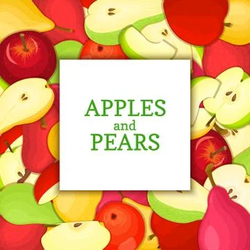 The Square white frame on ripe apple pear fruit background. Vector card Stock Illustration