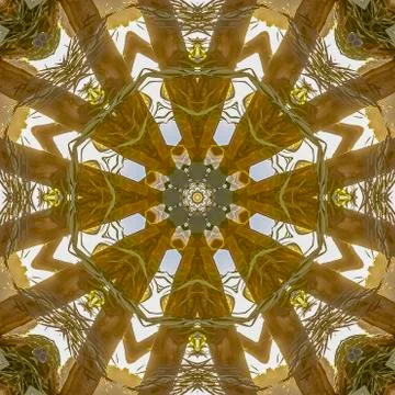 Square Wild angular shapes of a flower arrangement showing only leaves and stems Stockfoto's