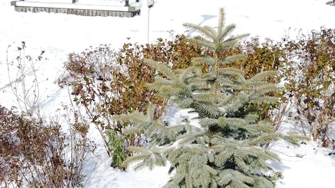 Square in winter with a monument to Ho Chi Minh. 库存影片 120428307
