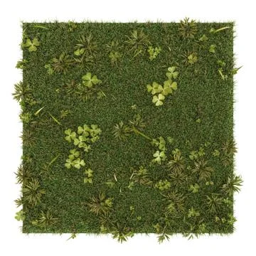 Squared grass Stock Illustration