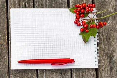 A squared paper notepad with a white spring with a red ball-point pen lies on a Stock Photos