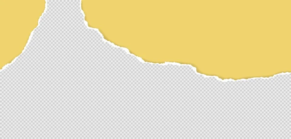 Squared paper strip with torn edges and soft shadow is on yellow background for Stock Illustration