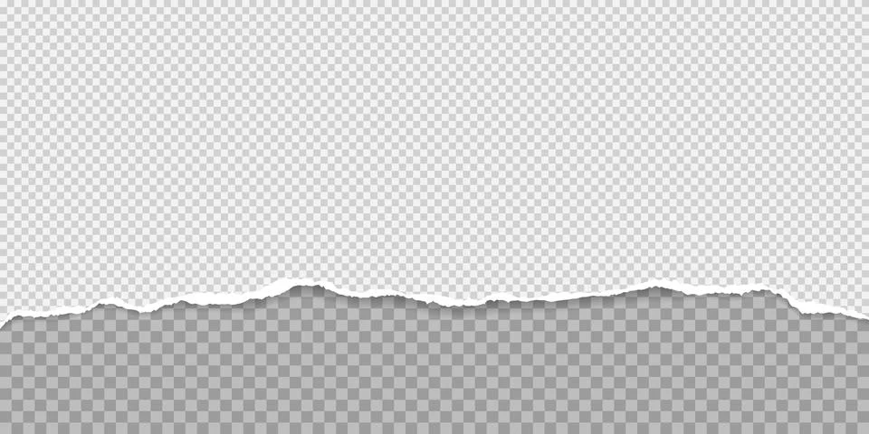 Squared paper with torn edge and soft shadow is on grey background for text or Stock Illustration