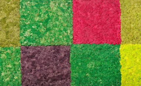 Squares of multicolored stabilized moss on a decorated living wall. Stock Photos