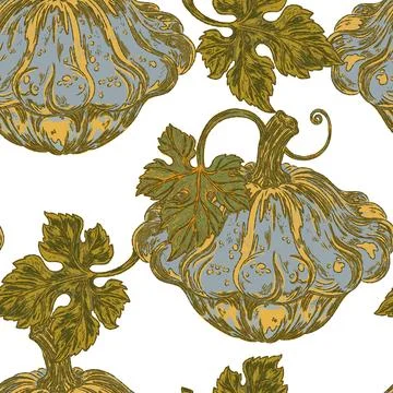 Squash and Leaves Seamless Pattern. This vintage illustration is hand-drawn i Stock Illustration