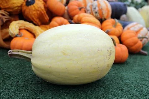 Squash and pumpkin Stock Photos
