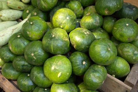 Squash and zucchini Stock Photos