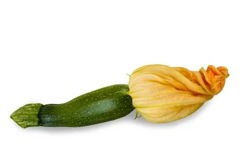Squash blossom Stock Photos