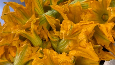 Squash blossoms in crate Stock Footage 284440598