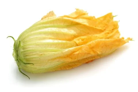 Squash Blossoms on white background Foto stock