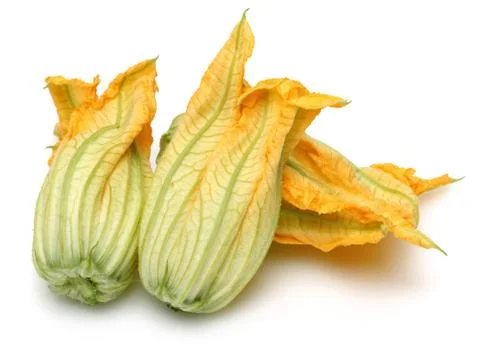 Squash Blossoms on white background Stock Photos