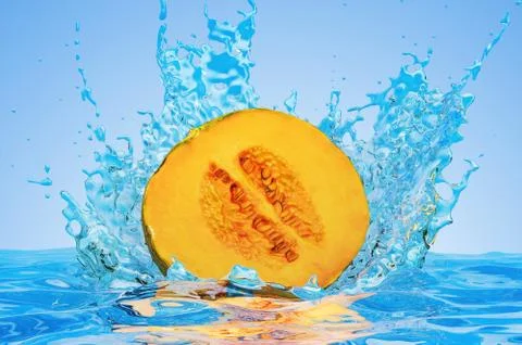 Squash cut in half with water splashes, 3D rendering 스톡 일러스트