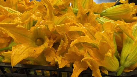 Squash flowers in crate, tracking shot of yellow zucchini blossoms Video stock 285982841